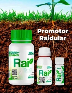 Estimulante Radicular / DIOXI RAI