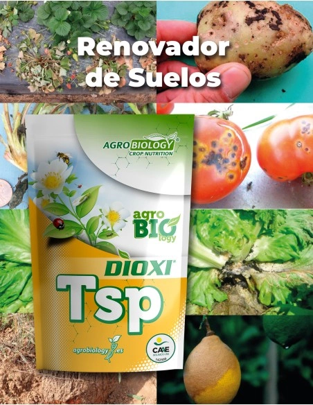 Renovador de Suelos / DIOXI TSP