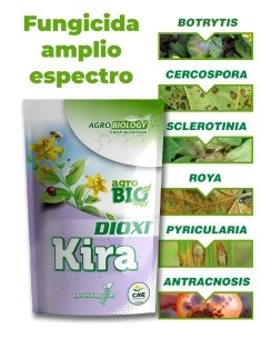 Fungicida de amplio espectro / DIOXI KIRA